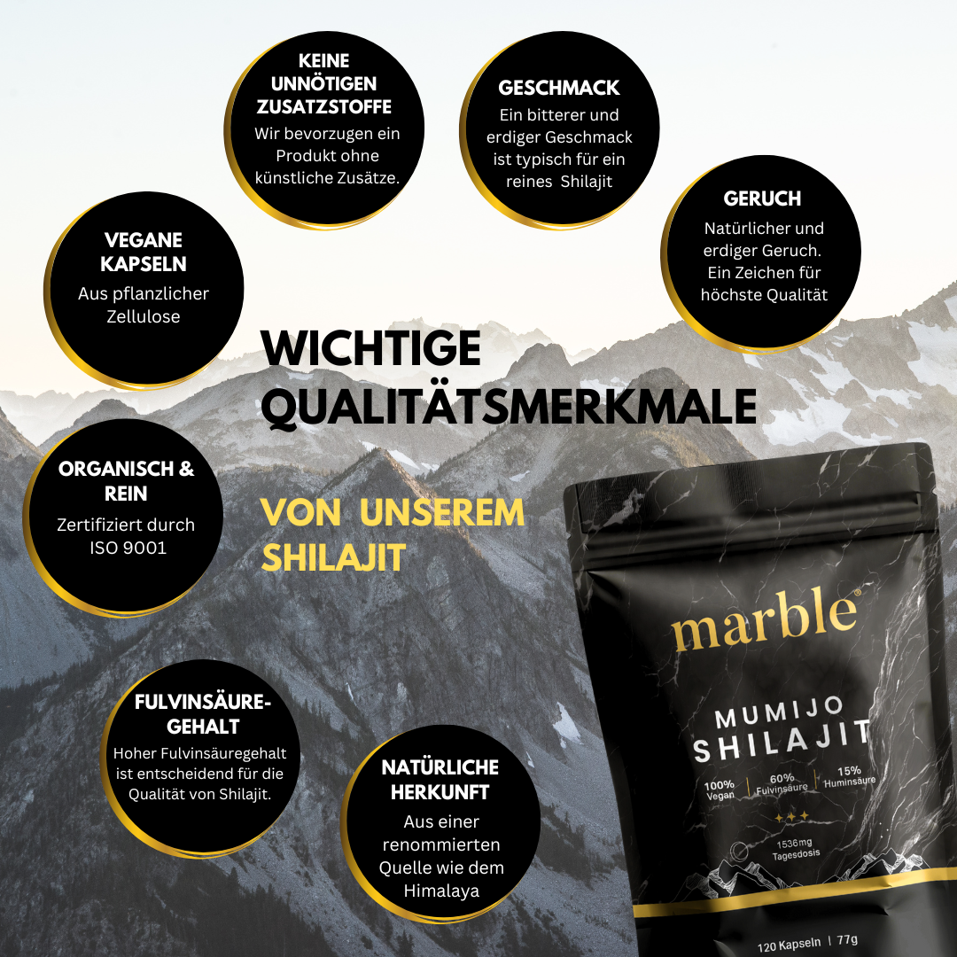 Shilajit Original Himalaya Kapseln