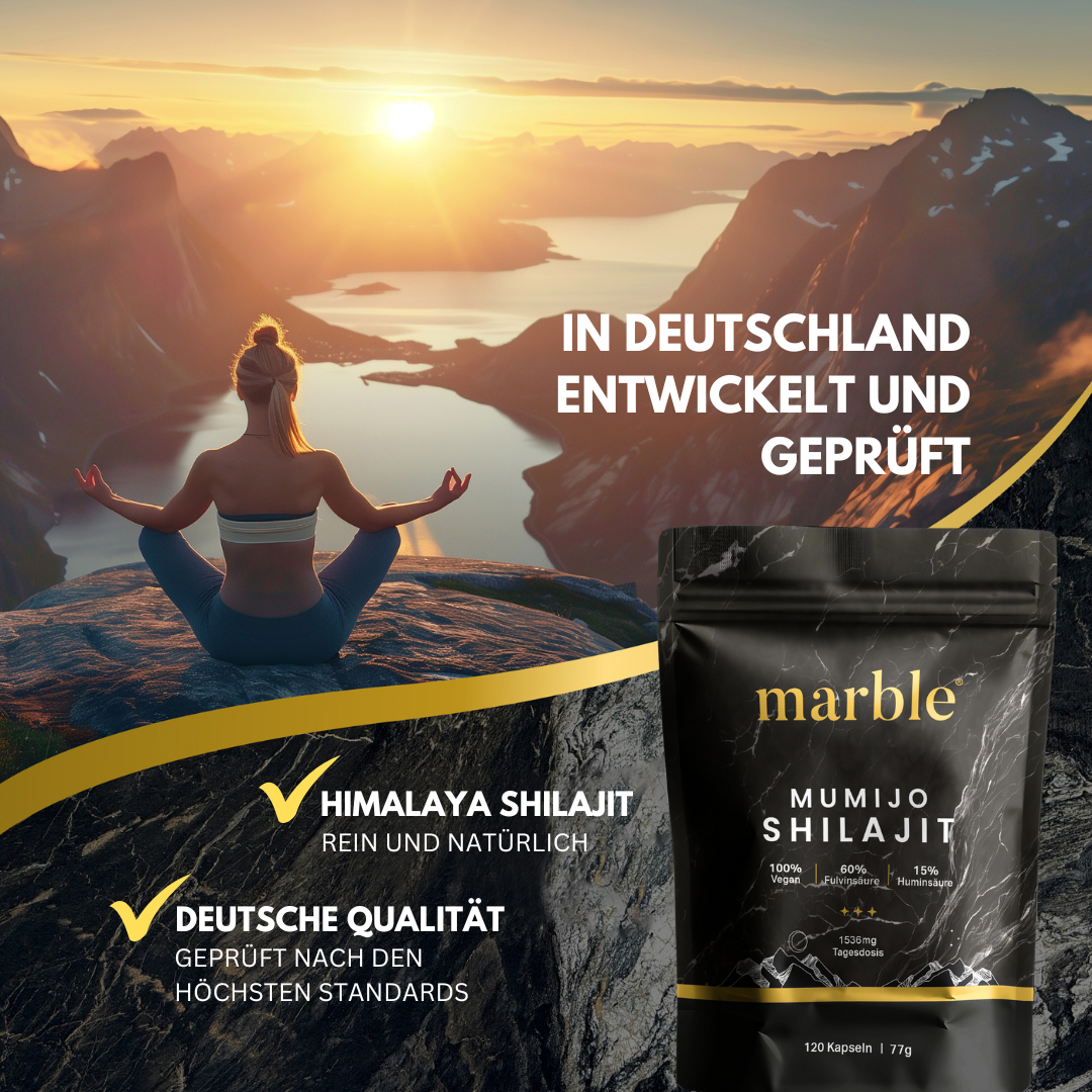Shilajit Original Himalaya Kapseln
