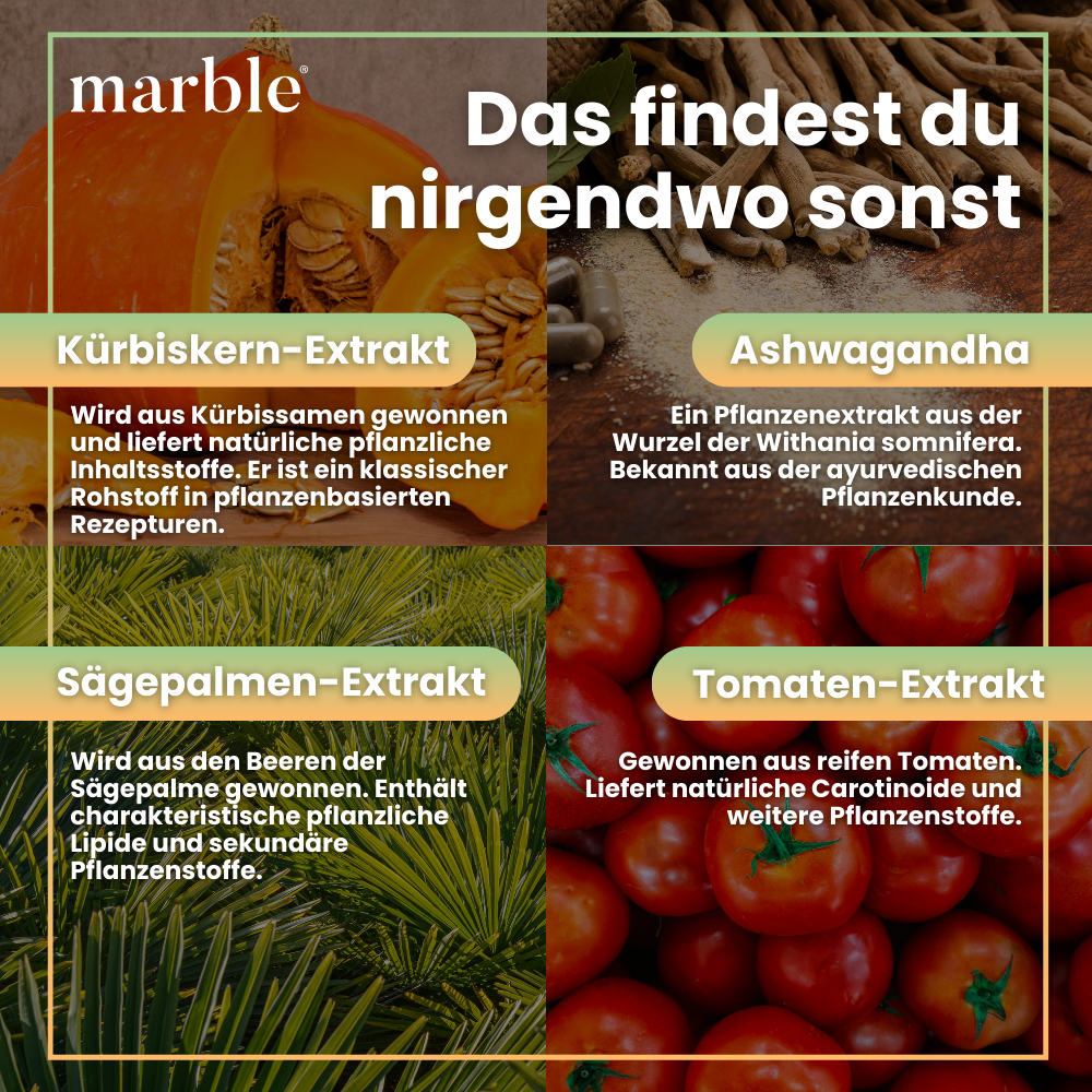 Prosta Vital – Männlicher Vitalstoff-Komplex mit Zink & Pflanzenextrakten | 120 vegane Kapseln