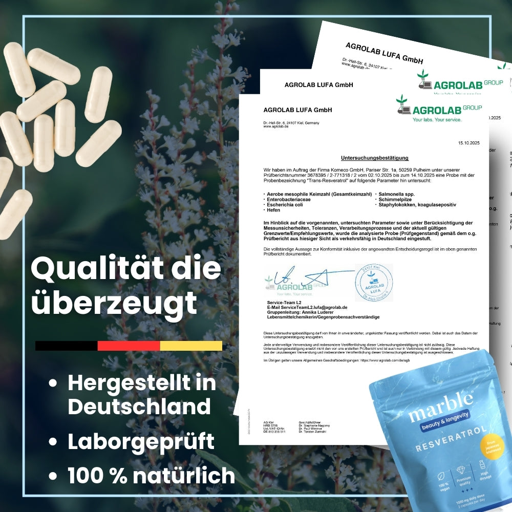 Resveratrol – pflanzlicher Premium-Komplex aus dem japanischen Staudenknöterich