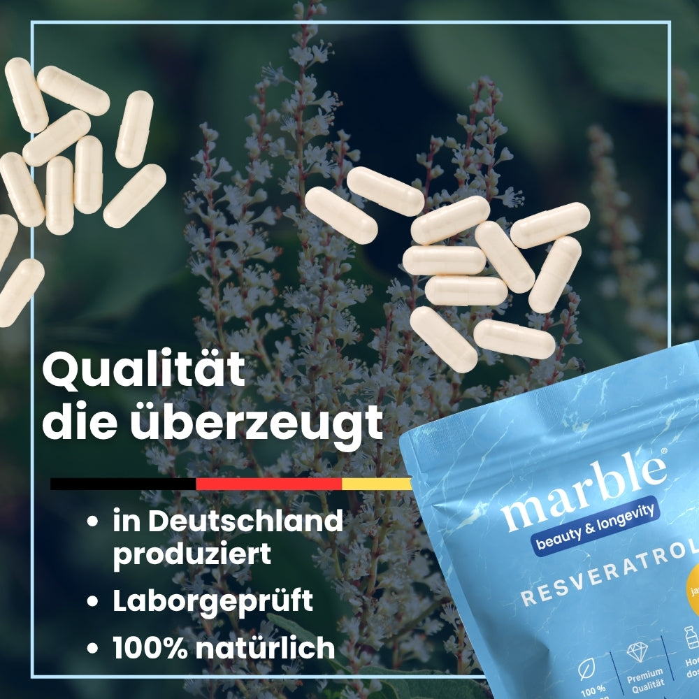 Resveratrol – pflanzlicher Premium-Komplex aus dem japanischen Staudenknöterich