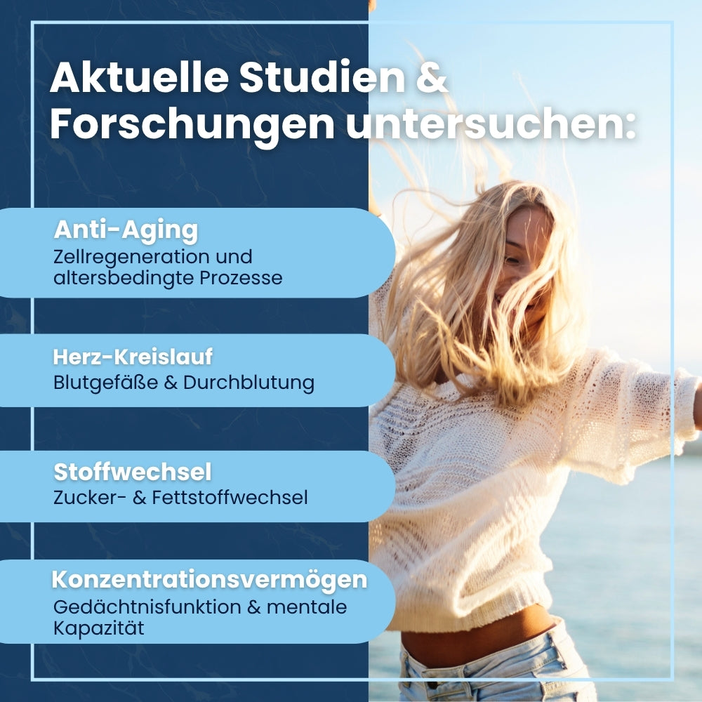 Resveratrol – pflanzlicher Premium-Komplex aus dem japanischen Staudenknöterich