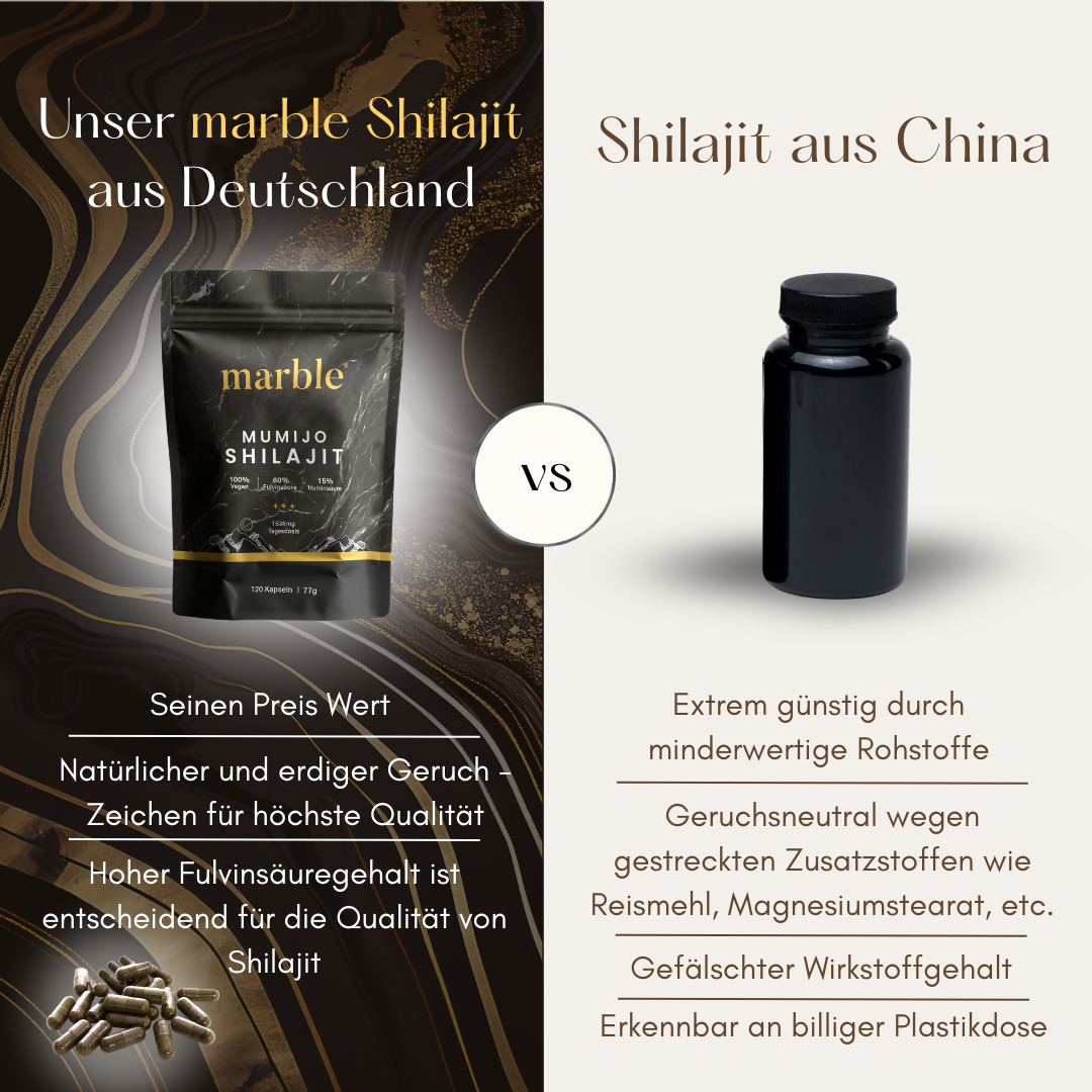 Shilajit Original Himalaya Kapseln
